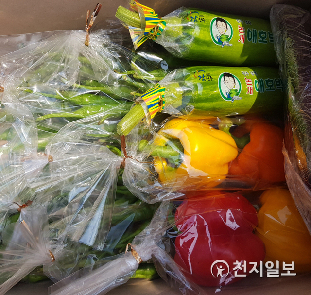 지역 친환경인증 농산물 박스 모습. (제공: 진주시) ⓒ천지일보 2020.3.19