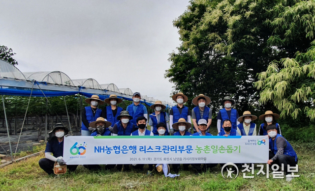 17일 NH농협은행 리스크관리부문 직원들이 경기도 화성시 가시리 정보화마을에서 일손돕기를 실시하기 전 기념촬영을 하고 있다. (제공: NH농협은행) ⓒ천지일보 2021.6.17