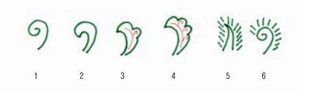 연꽃잎 모양의 성립 과정(도 2-6). 제1영기싹의 여러 변주. 투각 영기문의 그 무수한 작은 영기싹들은 선(線)의 1에서 면(面)의 2가 나오고, 2에서 작은 영기싹이 생긴 것은 면(面)으로 표현한 3과 4들을 보여준다. 5에서 제1영기싹의 면(面)을 다시 변형시킨 것인데 사방으로 기운이 발산하는데 6과 같은 표현이 많으므로 같은 계통이어서 매우 중요하지만 대부분 간과한다. 결론적으로 말하면 투각 영기문이 물론 중요하지만 가장 중요한 것이 바로 도 2-5와 도 2-6의 ‘순환하는 제1영기싹=보주(宝珠)’에서 도자기의 형태가 화생(化生)하는 것이다. (제공: 강우방 일향한국미술사연구원장) ⓒ천지일보 2021.7.2