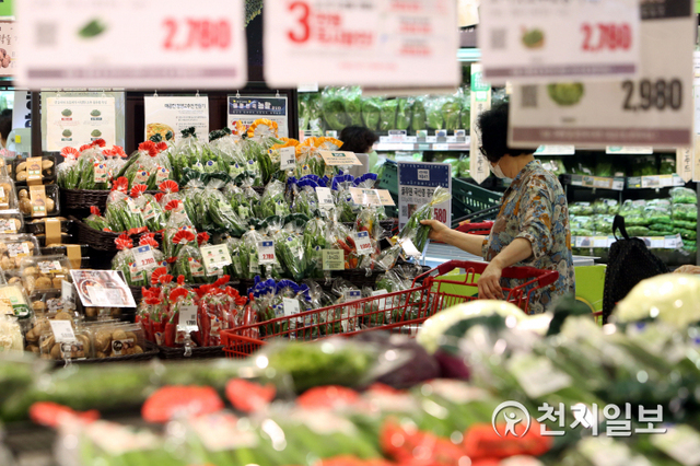 [천지일보=남승우 기자] 4일 통계청의 ‘소비자물가 동향’에 따르면 7월 소비자물가지수가 지난해 동월 대비 0.3% 상승했다. 품목별로 보면 농·축·수산물 가격이 6.4% 상승했다. 장마에 따른 출하 감소 등의 영향으로 채소류가 16.3% 상승하며 농산물 가격이 4.9% 올랐다.사진은 이날 오후 서울의 한 대형마트에서 시민들이 장을 보고 있는 모습. ⓒ천지일보 2020.8.4