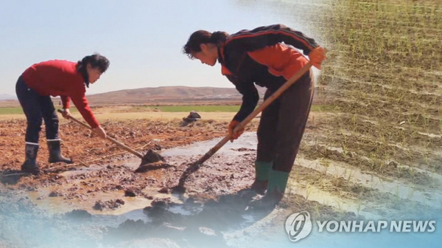 북한 식량난 (CG)[연합뉴스TV 제공, 연합뉴스]