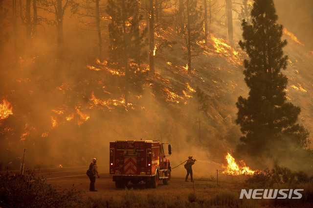 [플루머스=AP/뉴시스] 8일(현지시간) 미 캘리포니아주 플루머스 국유림에서 발생한 '백워스' 화재 현장에서 소방관들이 화재를 진압하고 있다. 캘리포니아 전역에 덥고 건조한 날씨가 이어질 것으로 예보됐으며 소방관들은 이로 인해 여러 곳에서 발생한 산불과 싸우고 있다.