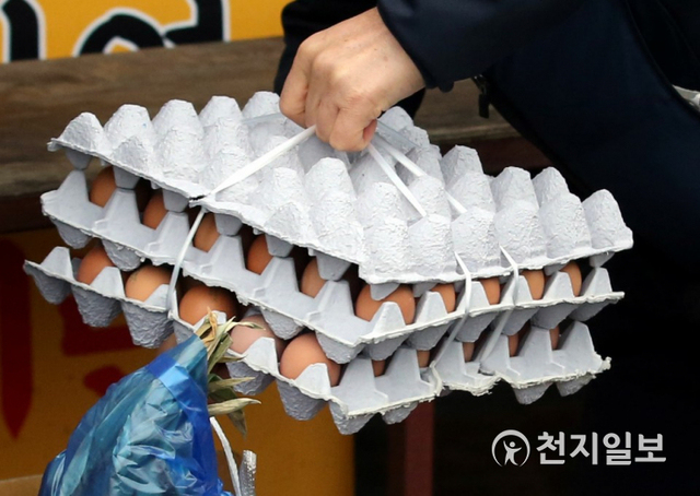 [천지일보=남승우 기자] 고병원성 조류인플루엔자(AI) 방역 조치로 살처분한 산란계(계란을 낳는 닭) 수가 1000만 마리를 넘어서며 계란값이 급등한 가운데 26일 오후 서울 동대문구 청량리농수산물시장의 한 가게에서 시민이 계란 2판을 구입하고 있다. ⓒ천지일보 2021.1.26