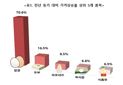 전년 동기 대비 가격상승률 상위 5개 품목 그래프. (제공: 물가감시센터)