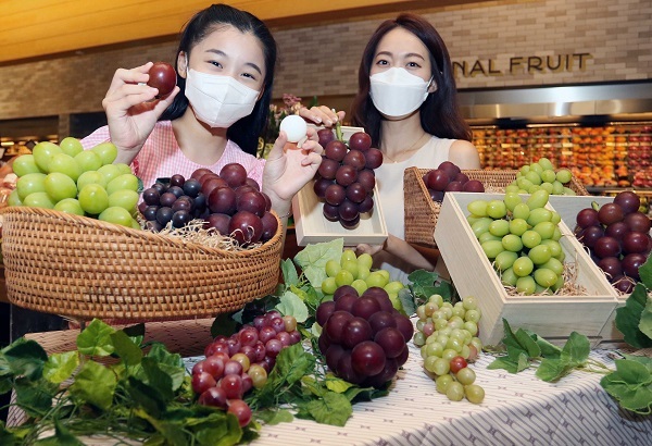 신세계백화점 모델들이 신품종 포도를 선보이고 있다. (제공: 신세계백화점)