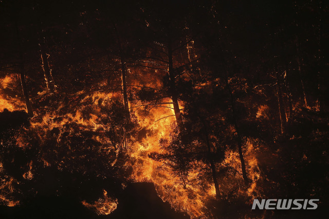 [밀라스=AP/뉴시스] 5일(현지시간) 터키 남서부 무을라주 밀라스의 아카야카 마을 숲이 불에 타고 있다.