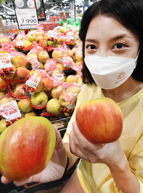 모델이 17일 서울 등촌동 홈플러스 강서점에서 햇사과를 선보이고 있다. 홈플러스는 전어, 햇사과, 햅쌀, 기절꽃게 등 다양한 가을철 햇먹거리를 여름철에 선보인다고 17일 밝혔다. 최근 내식을 선호하는 소비자가 늘자 홈플러스는 신선식품 경쟁력을 더욱 강화하기 위해 제철 먹거리를 앞당겨 선보이는 차별화 전략을 운영하며 신선 A/S 제도를 통해 고객 만족도를 더욱 높인다는 방침이다. (제공: 홈플러스) ⓒ천지일보 2021.8.17