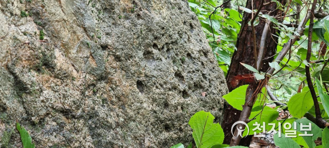 고양시 고봉산 선사유적에 보이는 크고 작은 성혈(星穴).  나선문이 보이고 있다. ⓒ천지일보 2021.8.22