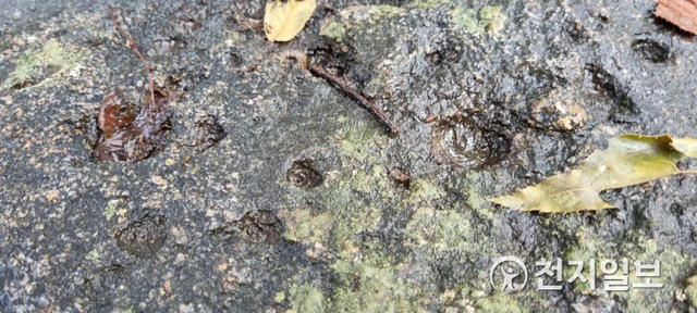 비교적 큰 성혈. 주변의 성혈에 예리한 도구가 회전한 것을 보여준다. ⓒ천지일보 2021.8.22