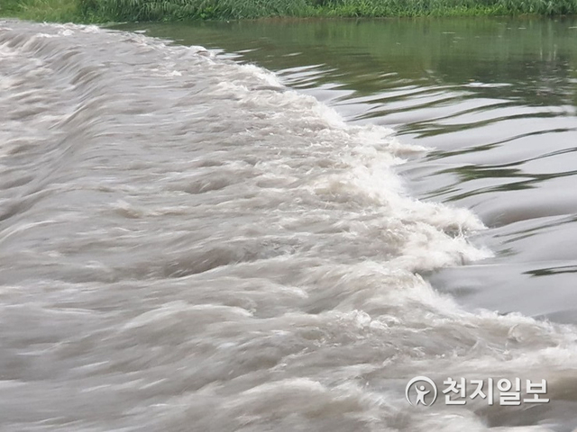 [천지일보 대전=김지현 기자] 제12호 태풍 ‘오마이스’의 영향으로 전국적인 폭우로 피해가 속출하고 있는 가운데 24일 오전 6시 현재 대전·세종·충청지역에도 호우주의보가 내렸다. 사진은 대전 갑천의 물이 범람하는 모습. ⓒ천지일보 2021.8.24