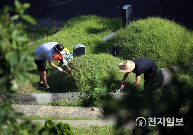 [천지일보 인천=신창원 기자] 민족대명절 추석을 13일 앞둔 31일 오전 인천시 부평구 인천가족공원을 찾은 성묘객들이 조상묘지를 벌초하고 있다.ⓒ천지일보 2019.8.31