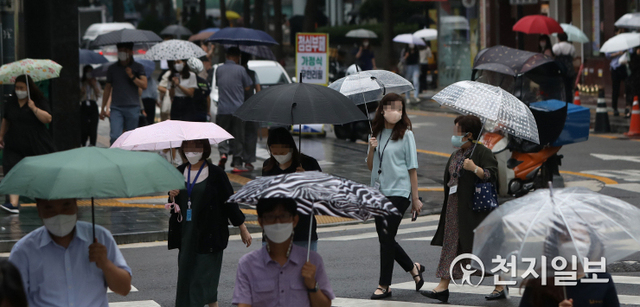 [천지일보=남승우 기자] 제12호 태풍 ‘오마이스’와 저기압의 영향으로 전국에 많은 비가 내린 23일 오후 서울 을지로입구역 사거리에서 점심식사를 하러 나온 직장인들이 우산을 쓴 채 횡단보도를 건너고 있다. ⓒ천지일보 2021.8.23