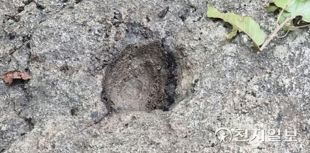 고봉산 바위에서 발견된 굼(성혈) ⓒ천지일보 2021.8.31