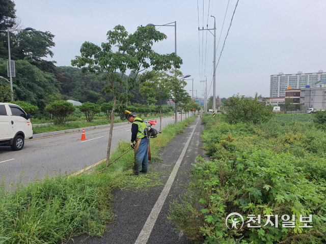 주요도로변 제초작업 장면. (제공: 아산시) ⓒ천지일보 2021.9.2