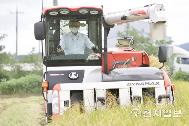 박상돈 천안시장이 6일 성남면 석곡리 들녘에서 농민들과 함께 천안시 올해 첫 벼를 수확하고 있다. (제공: 천안시) ⓒ천지일보 2021.9.6