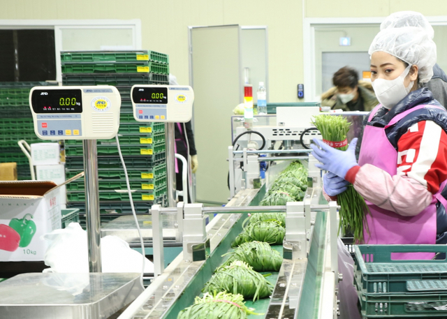 CJ프레시웨이가 농산물 패킹스토리지 센터에서 계약재배한 농산물을 상품화해 출하하고 있다. (제공: CJ프레시웨이)