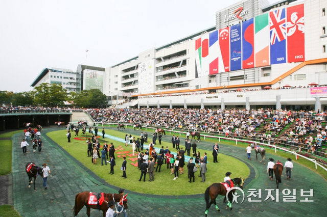 2016년 코리안컵 경주 모습 (제공: 한국마사회) ⓒ천지일보 2021.9.10