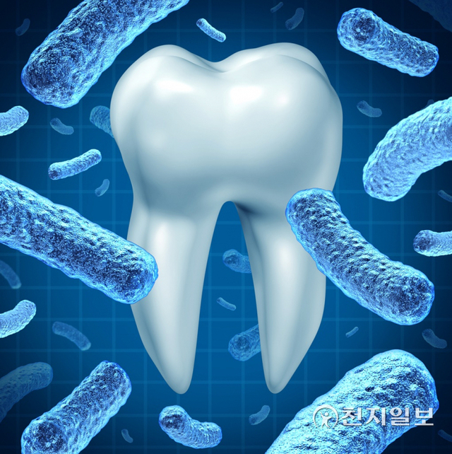 치아 세균 이미지 (제공: 유디치과) ⓒ천지일보 2021.9.14