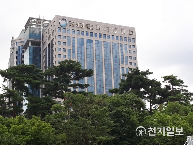 금융감독원 ⓒ천지일보 DB