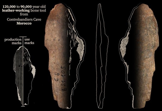 콩트르방디에 동굴서 발굴된 가죽 다듬는데 사용된 뼈 도구. (Jacopo Niccolo Cerasoni 제공, 연합뉴스)