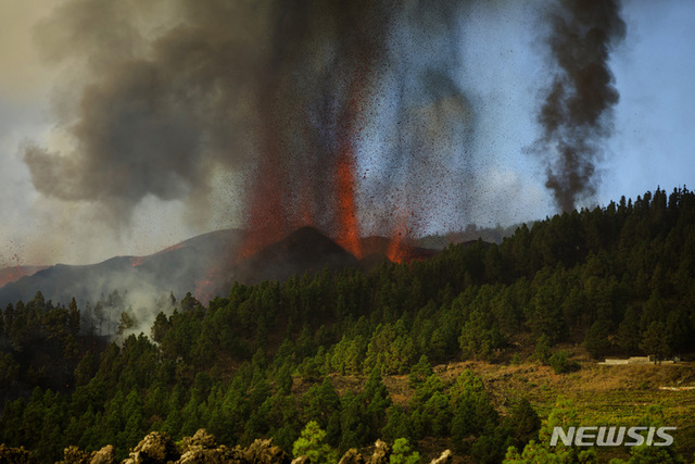 스페인 화산 폭발, 솟아오르는 용암[라팔마=AP/뉴시스] 스페인 카나리아제도 라 팔마 섬에 있는 쿰브레 비에호 화산이 폭발해 19일(현지시간) 용암이 분출하고 있다. 당국은 이 화산이 일주일간의 지진 활동 끝에 폭발해 분출된 용암이 가옥을 파괴하고 해안으로 접근하면서 수천 명의 주민에 대피령을 내렸다고 밝혔다.