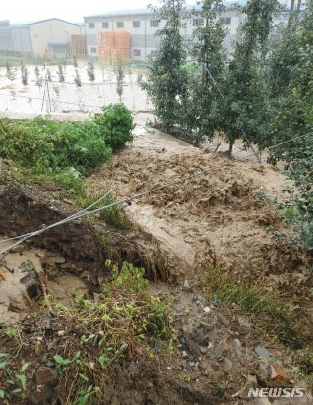 경북 포항의 수해피해지역. (출처: 뉴시스)