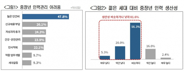 중장년 인력관리 어려움, 인력 생산성. (제공: 대한상공회의소)