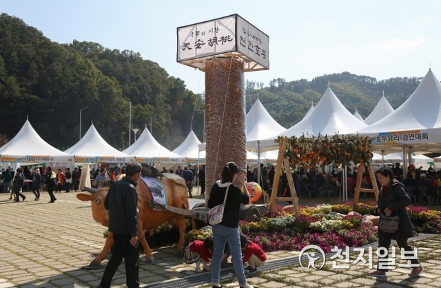 [천지일보 천안=박주환 기자] ‘2018 천안호두축제’ 개막식이 13일 충남 천안시 광덕쉼터 특설무대에서 성황리에 열렸다. ⓒ천지일보 2018.10.14