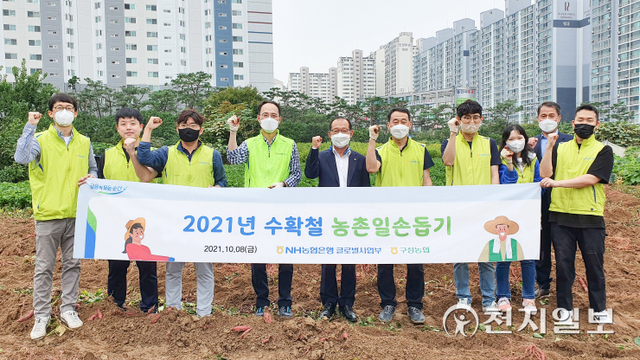 김용기 NH농협은행 글로벌사업부 부장(왼쪽에서 네 번째)과 김영석 구성농협 상임이사(왼쪽에서 다섯 번째) 등 임직원들이 소실마을 고구마 재배 농가 일손돕기 후 기념촬영을 하고 있다. (제공: NH농협은행) ⓒ천지일보 2021.10.11
