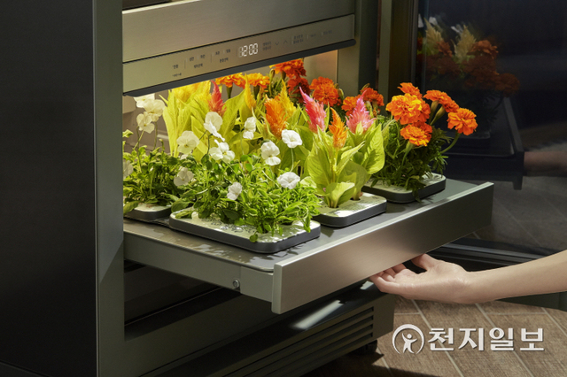 신개념 식물생활가전 ‘LG 틔운(LG tiiun)’. (제공: LG전자) ⓒ천지일보 2021.10.14