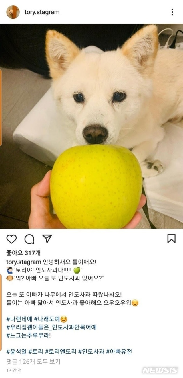 국민의힘 대권주자인 윤석열 전 검찰총장의 반려견 토리 사진이 올라오는 인스타그램. (제공: 뉴시스)