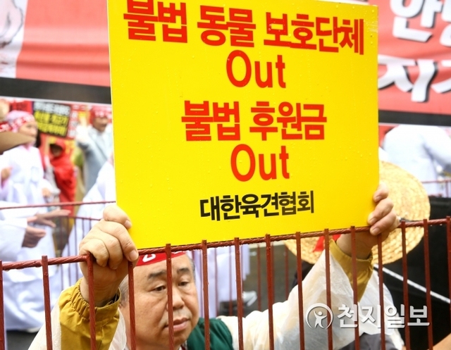 28일 오후 서울 종로구 효자치안센터 앞에서 열린 ‘생존권 투쟁 집회’에서 김종석 대한육견협회장이 ‘불법 동물 보호 Out 불법 후원금 Out’이라고 적힌 피켓을 들고 있다. 이날 집회에서는 케이지 퍼포먼스가 진행됐다. ⓒ천지일보 2018.8.28
