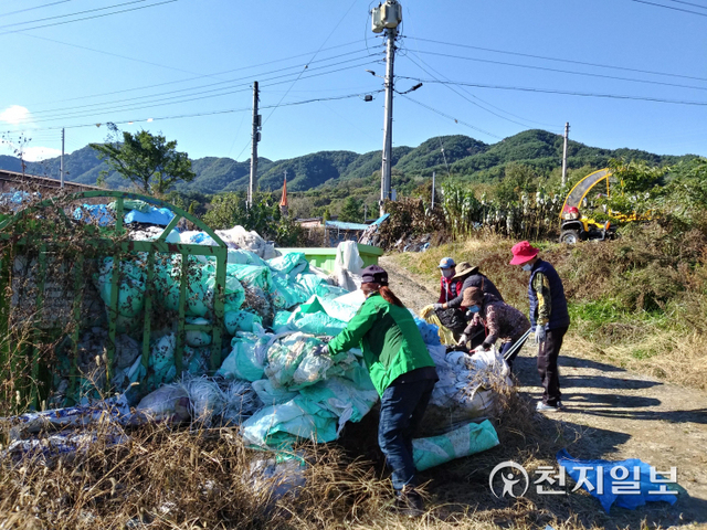 청일면 한 마을주민들이 수확을 마친 영농폐비닐을 공동집하장에 정리하고 있다. (제공: 횡성군청) ⓒ천지일보 2021.10.26