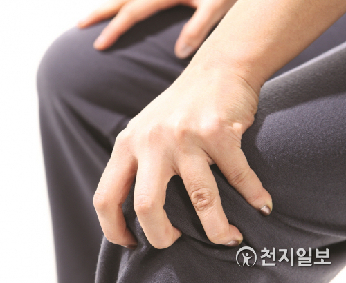 한 중년 여성이 무릎 통증을 호소하고 있다. (제공: 자생한방병원) ⓒ천지일보 2020.10.5