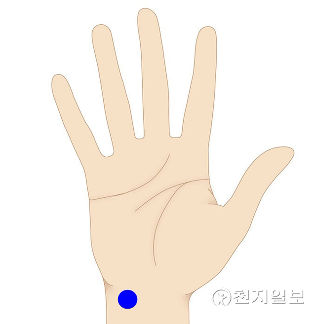 신문혈 (제공: 자생한방병원) ⓒ천지일보 2021.10.28