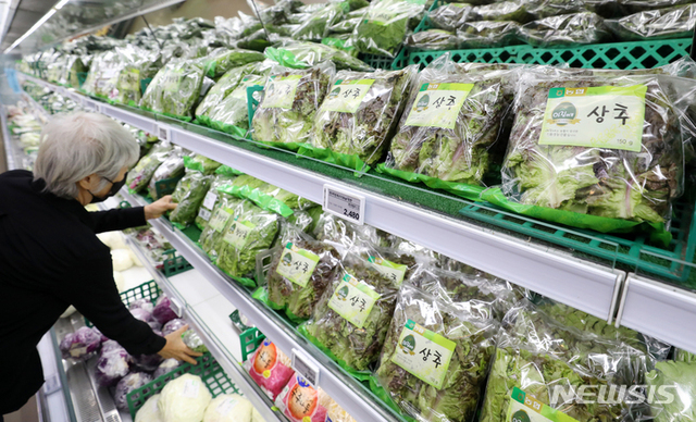 지난 11일 오후 서울 시내 한 대형마트에서 시민들이 장을 보고 있는 모습. (출처: 뉴시스)