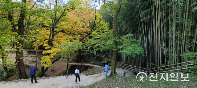 [천지일보 광주=이미애 기자] 깊어가는 가을 10월 마지막 날인 지난달 31일 국가 명승지로 지정된 한국의 대표적 명원(名園)인 소쇄원의 가을 풍경. ⓒ천지일보 2021.11.2