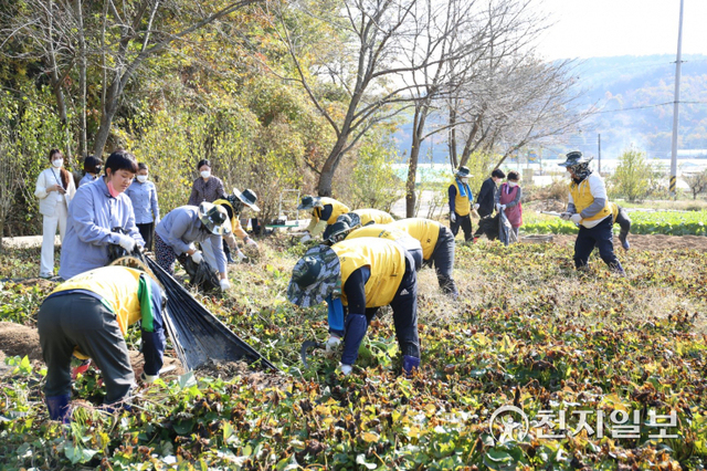 한국남동발전 나눔봉사단이 지난 3일 진주시 수곡면 남강농원과 사랑그림숲(장애인직업재활시설)을 찾아 봉사활동을 진행하고 있다. (제공: 한국남동발전) ⓒ천지일보 2021.11.7