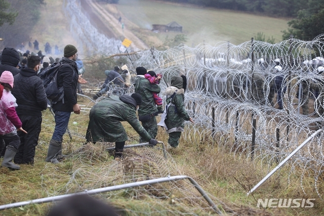 [그로드노=AP/뉴시스] 8일(현지시간) 벨라루스와 폴란드 국경 지대 그로드노에 중동과 기타 지역에서 온 이주민들이 철조망 울타리를 걷어내려 하고 있다. 벨라루스와 폴란드 국경 지대에서 국경을 넘으려는 이주민들과 이를 저지하는 폴란드 국경수비대 사이 충돌이 빚어져 최소 8명이 숨진 것으로 알려졌다.