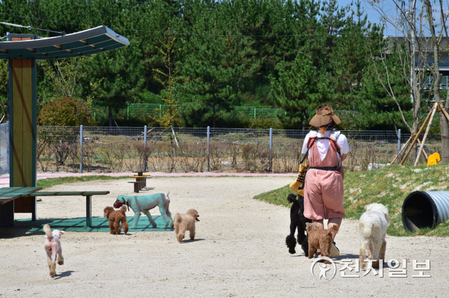 진주시 반려견 놀이터. (제공: 진주시) ⓒ천지일보 2021.11.22