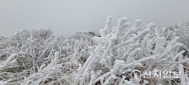 9일 덕유산국립공원 향적봉(1614m) 일대에 올해 첫 눈이 내렸다. (제공: 덕유산국립공원사무소) ⓒ천지일보 2021.11.9