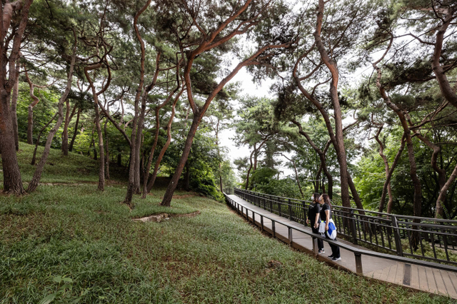 아차산 동행숲길 (출처: 광진구) ⓒ천지일보 2021.12.13