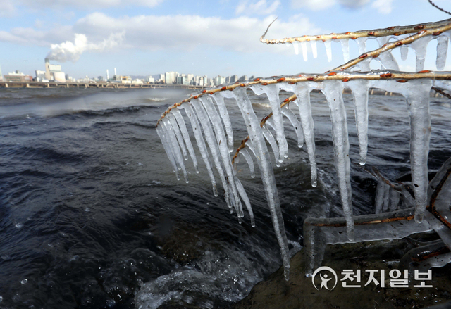 [천지일보=남승우 기자] 올 겨울 들어 서울에 처음으로 한파주의보가 내려진 17일 서울 여의도 한강공원 강변의 나뭇가지에 고드름이 매달려 있다. ⓒ천지일보 2021.12.17