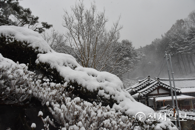 [천지일보=김지현 기자] 눈 내린 하얀 풍경. ⓒ천지일보 2021.12.25