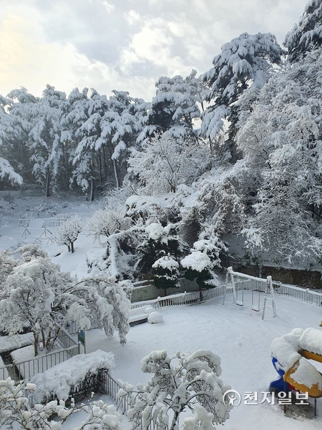 [천지일보 강원=이현복 기자] 화이트 크리스마스를 맞은 25일 오전, 강원도 강릉시 지변동 주변에 내린 눈 풍경. ⓒ천지일보 2021.12.25
