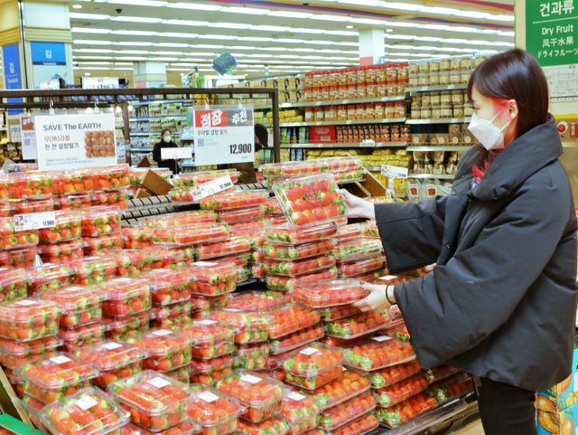 고객이 30일 서울 중구 봉래동에 위치한 서울역점에서 다양한 딸기 상품을 구경하고 있다. (제공: 롯데쇼핑)