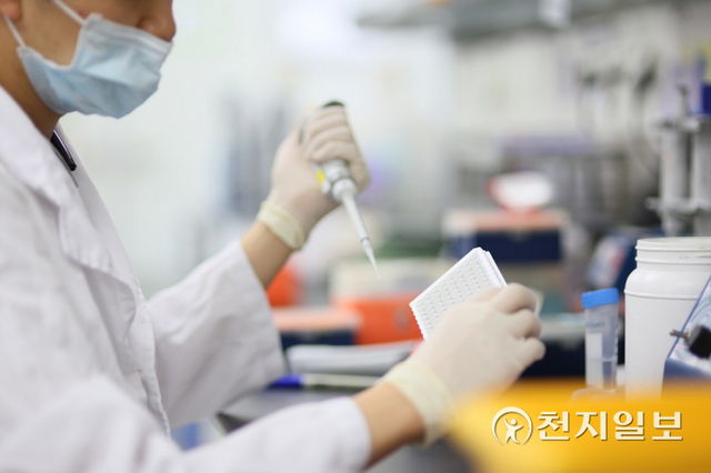 ‘게임체인저’라고 불리는 코로나19 먹는 치료제가 해외로부터 도입되는 가운데 먹는 치료제를 포함한 국산 치료제 개발에도 속도가 붙고 있다. 사진은 제약회사 제넥신 연구소에서 연구가 진행되는 모습. 제넥신은 코로나19 주사제 방식인 치료물질 ‘GX-I7’를 개발하고 있다. (제공: 제넥신) ⓒ천지일보 2022.1.1