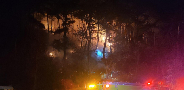 경북 영덕군 영덕읍에서 4일 새벽 산불이 발생해 소방대원들이 출동해 산불을 진화하고 있다. (제공: 산림청)