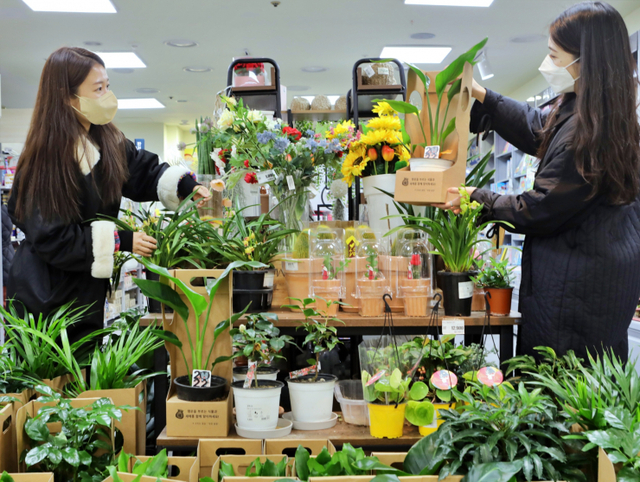고객들이 4일 서울 중구 봉래동에 위치한 서울역점에서 꽃말 좋은 식물을 구경하고 있다. (제공: 롯데쇼핑)