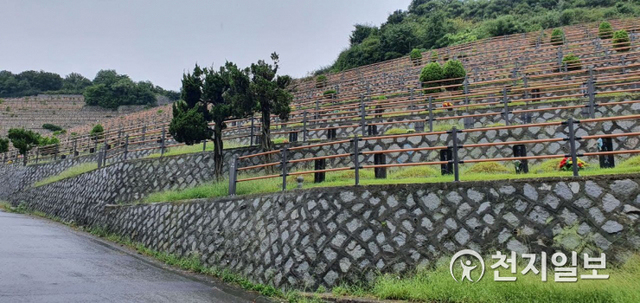 인천가족공원 계단식묘.ⓒ천지일보 2022.1.10DB